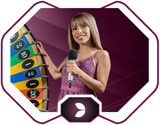 Evolution Dream Catcher